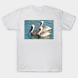 Staring Down The Fisherman T-Shirt